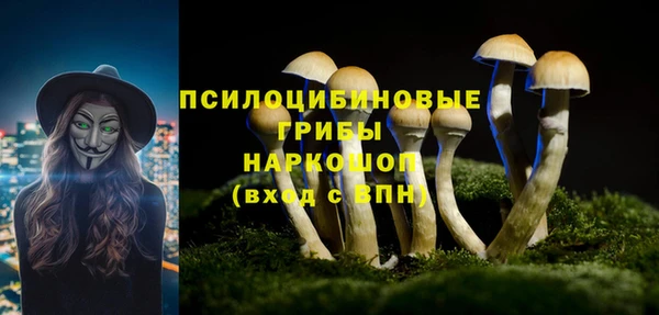 молекула духа Магас