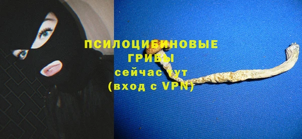 2c-b Лагань