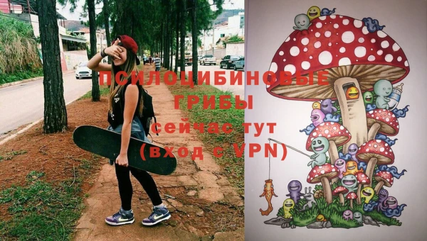 гашик Лихославль