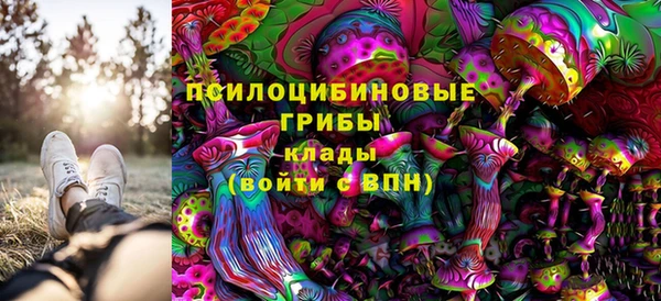 таблы Лиски