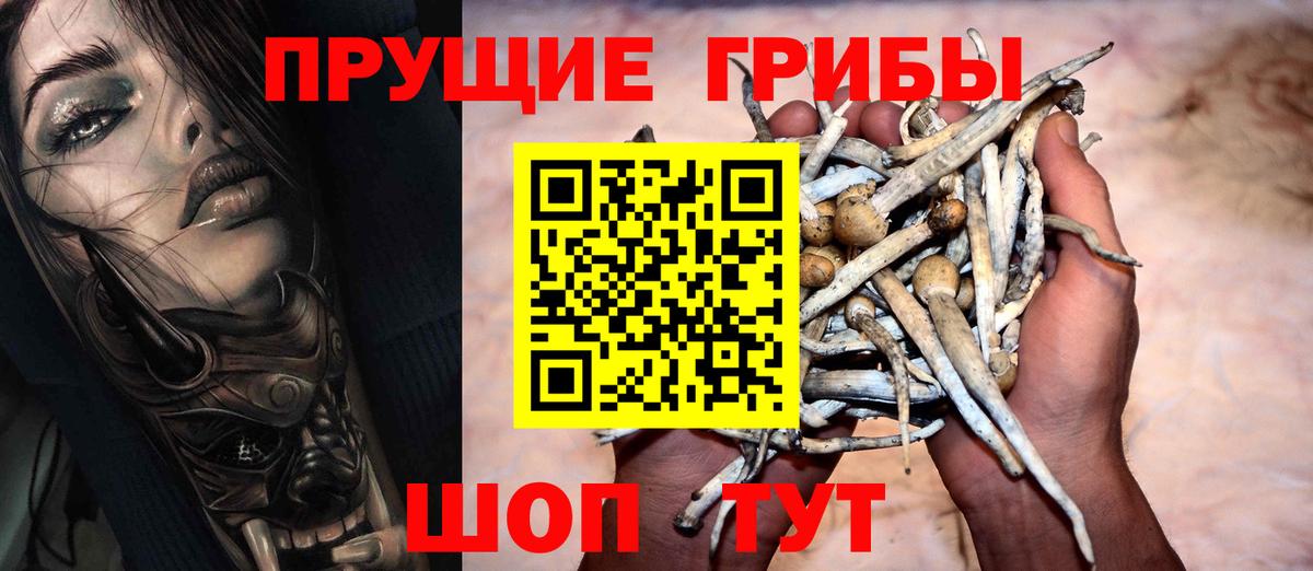 Галлюциногенные грибы Cubensis  Псилоцибиновые грибы MAGIC MUSHROOMS  Сокол  Вход с VPN 