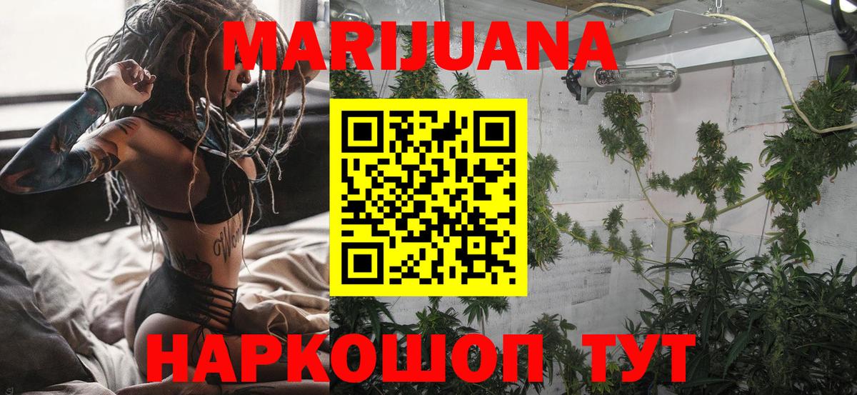 ГАШ Сокол
