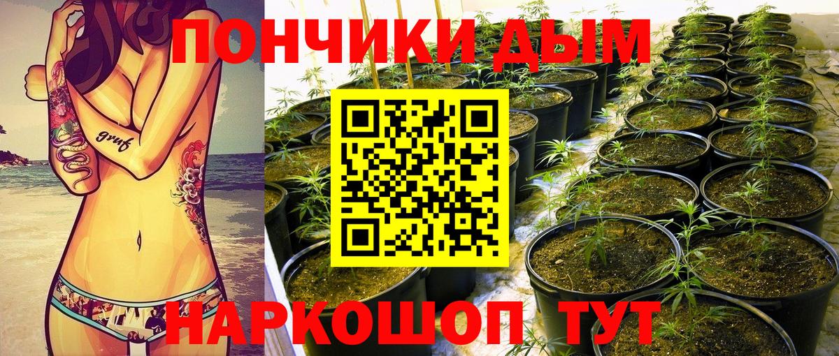 Конопля OG Kush Сокол